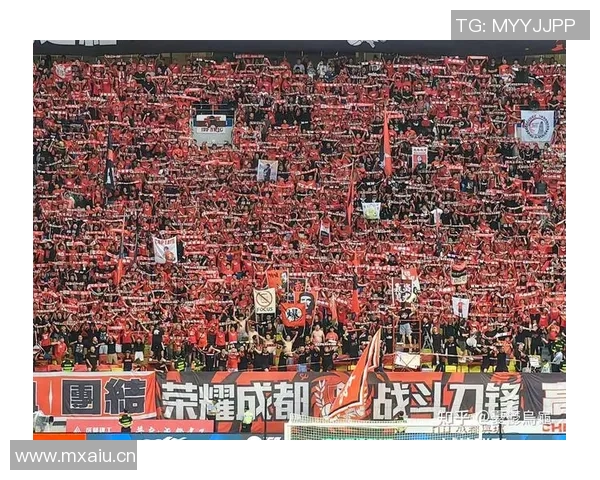 成都乒乓球队状态飙升创新高引发全国关注与期待