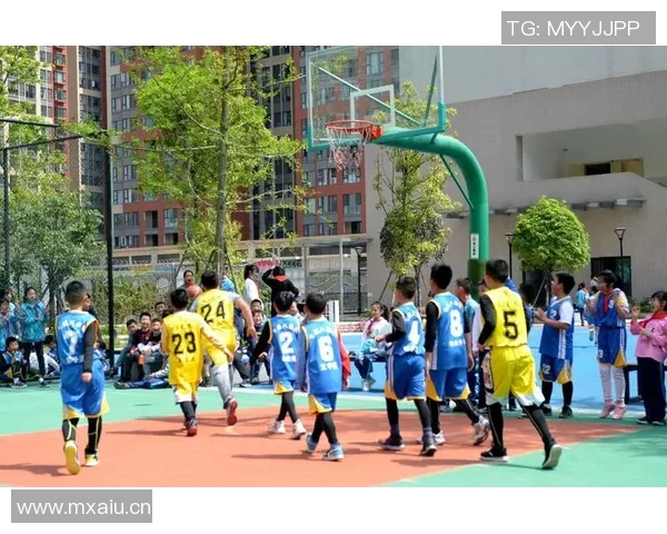 深入剖析成都篮球队技术特点与对手的全面对比分析